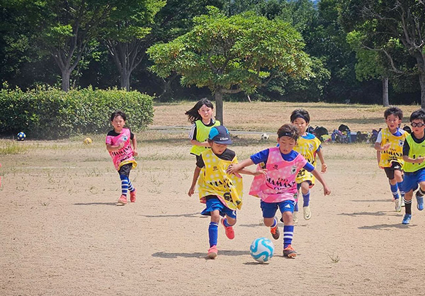 低学年